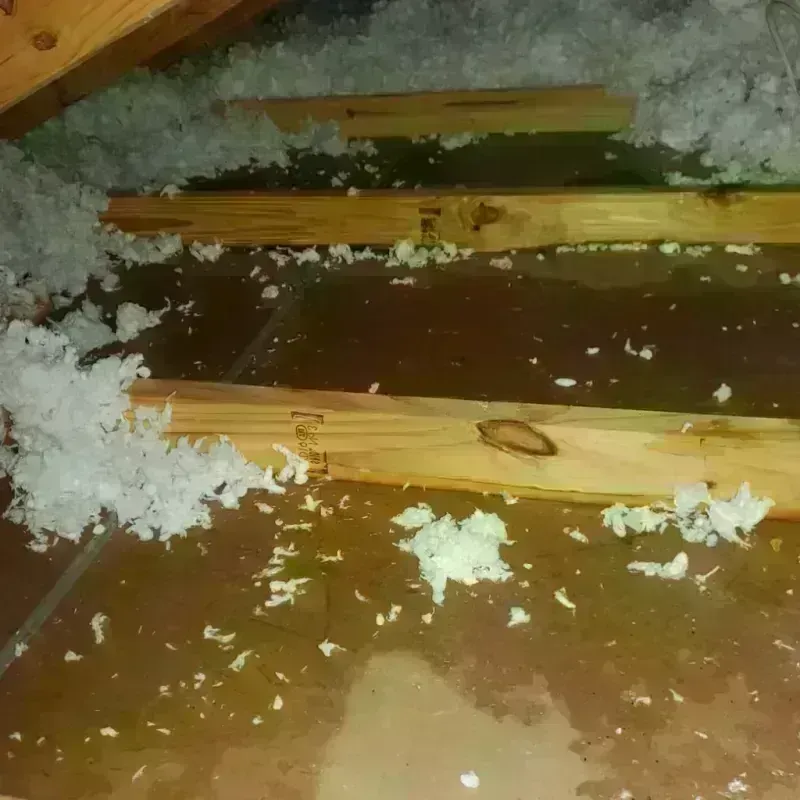 Best Attic Water Damage Service in Lima, OH