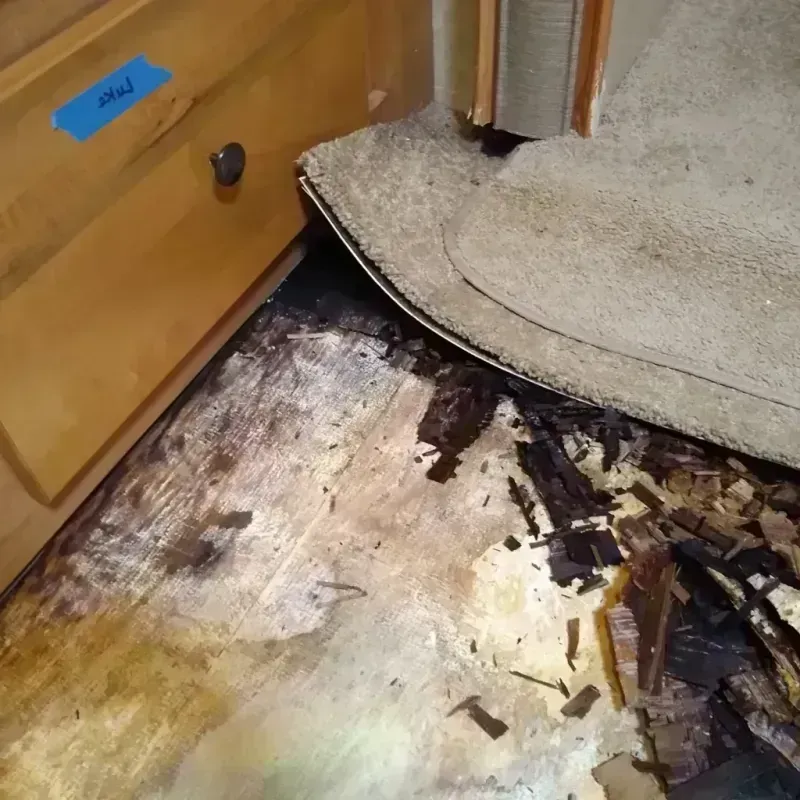 Wood Floor Water Damage in Lima, OH